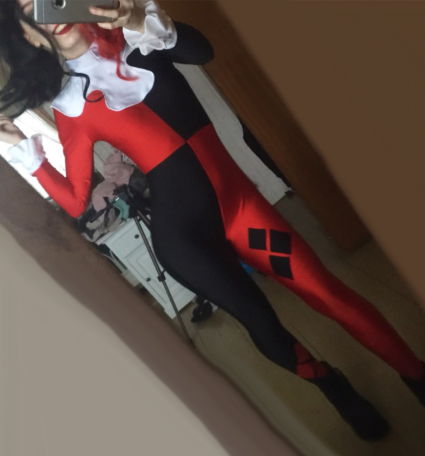 Super Villain Harley Quinn Costumes Halloween Costumes