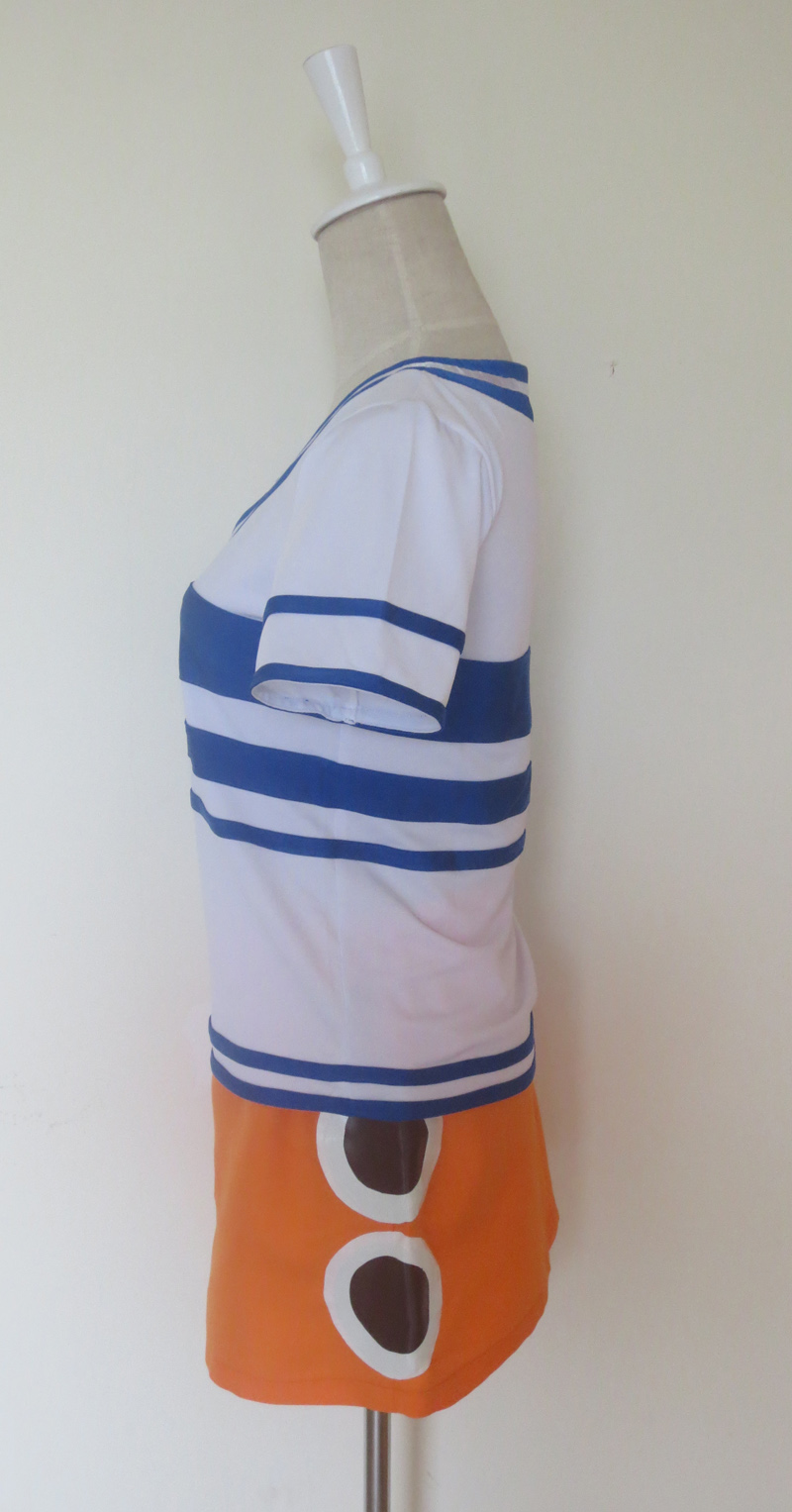 One piece Nami Two Years ago Cosplay Costume