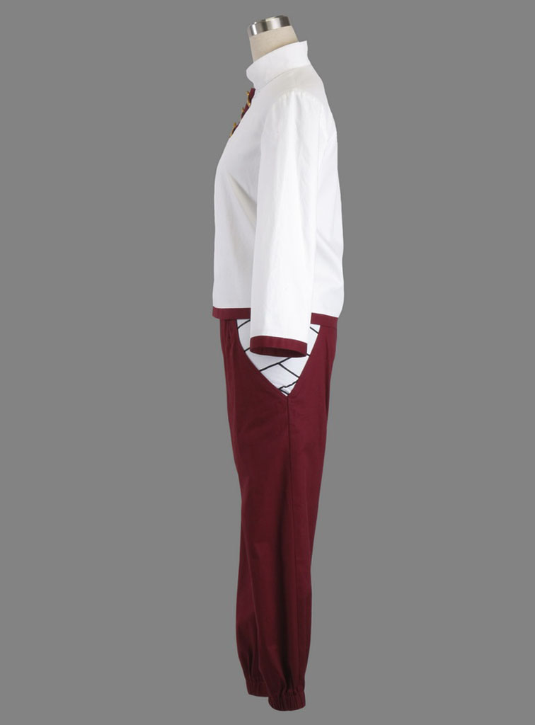 Naruto Tenten Cosplay Costume