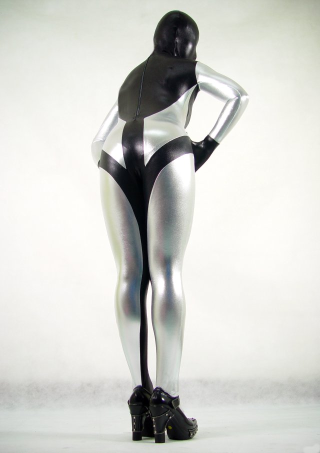 Silver Sexy Halloween Costumes For Women Zentai